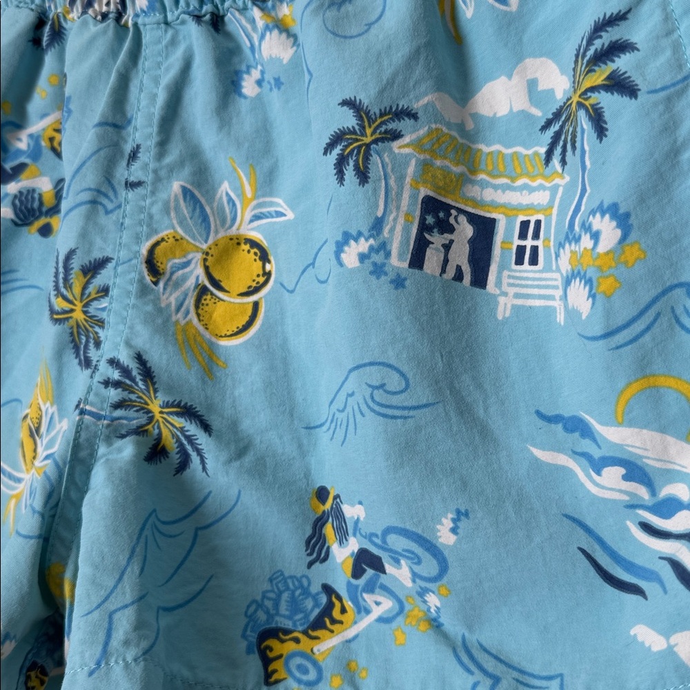Patagonia Lemon Taco Stand Barley Baggie Shorts - Picture 2 of 7